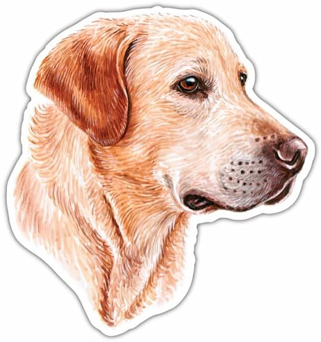 Samunshi® Brauner Labrador Retriever Aufkleber Autoaufkleber für Motorrad Fahrrad Roller oder Auto Sticker Fahrrad Mtb Mountainbike Rennrad Hund Dog Dogo 10cm Brauner Labrador Retriever
