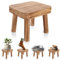 DAJAVE Small Wooden Stool, Plant Table Plant Stool Wooden Milking Stool Indoor Step Stool for Kids Small Side Table for House Plants, Bedroom Bedside - 24x22x20cm