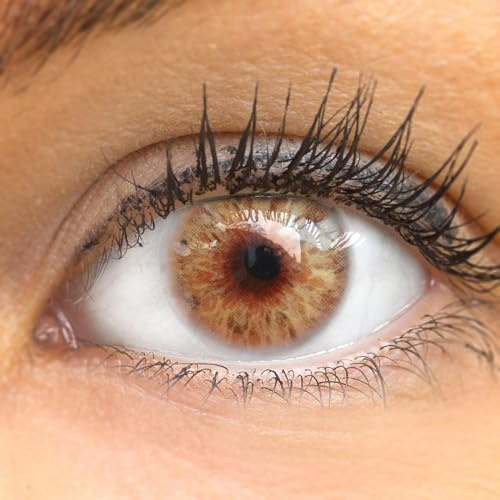 GLAMLENS lentilles de couleur marron naturelles colorées très haute opacité Merida Brown + étuis à lentilles de contact I 1 paire (2 pièces) I 90 Jours I sans correction I 0,00 Dioptries
