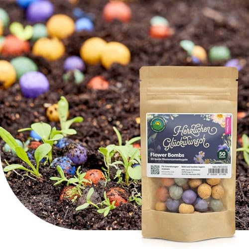 Flower Bombs: Samenbomben mix Herzlichen Glückwunsch! - 50x handgemachte und farbenfrohe ‘Seed Bombs’ - Nachhaltig und 100% ökologisch - Nur ungiftige Pflanzen - Kreative Geschenkidee