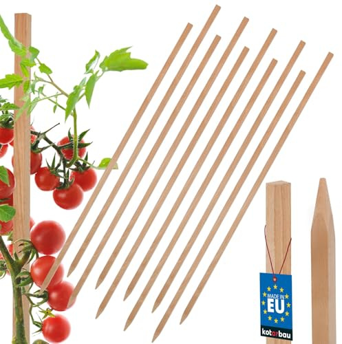 KOTARBAU® 10er Set Pflanzstäbe - 80 cm - Tomaten & Gurken Rankhilfe - Tomatenstäbe - Holzpfähle - Holzstäbe - Pflanzenstütze - Holzpfosten - Angespitzt - Rankstab aus Buchenholz - Natürlich