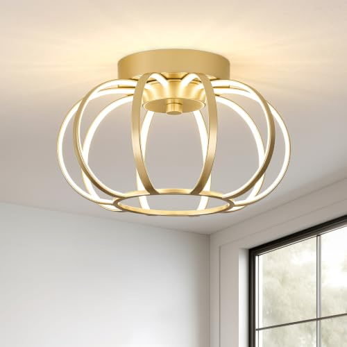 WOKNOS Metall LED Deckenleuchte,Gold LED Lampe,4000K Deckenleuchten für Küche Schlafzimmer Wohnzimmer