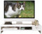 Catekro Soporte de Monitor de Plástico Monitor de Escritorio Monitor de Pantalla de Escritorio Monitor para Monitor Portátil (Blanco)