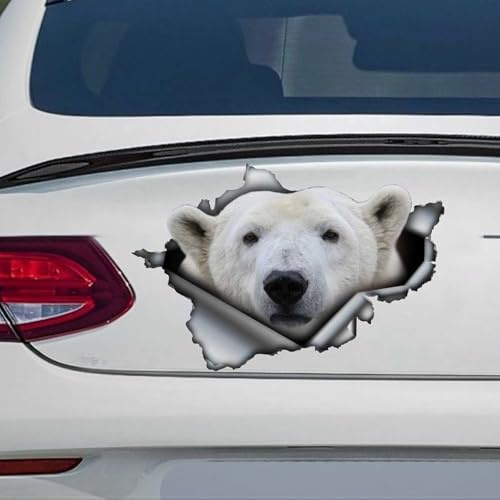 Madcolitote Eisbär-Autoaufkleber, Eisbär, 3D-Fensteraufkleber, Stoßstange, gestanzt, Vinyl-Aufkleber, lustiges Laptop-Aufkleber, Haustiergeschenk, 35,6 cm (14 Zoll)
