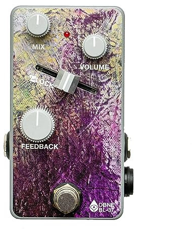 Old Blood Noise Endeavors BL-37 Reverb - Effektgerät für Gitarren