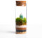 Ecodecs - 5 UNITÀ, Giardino in bottiglia, Ecosistema autosufficiente, Terrario piante, Terrarium vetro con piante ecosistema, Biosfera vetro, pianta in barattolo, Kit terrarium - MINITERRA MINERALE