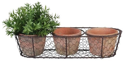 windschief-living Zauberhafter Drahtkorb mit 3 Terracottatöpfen, Stella, Landhaus, Blumentöpfe