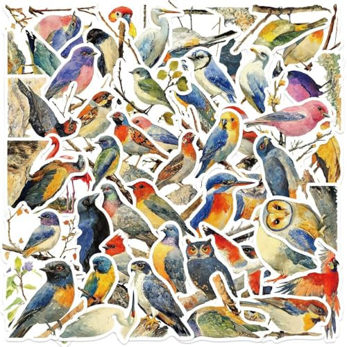 Süße Vögel Aufkleber für Laptop(50PCS),Geschenk für Kinder Jugendliche Erwachsene,Cute Bird Wasserdicht Vinyl Stickers für Auto,Motorräder Fahrrad Gepäck Scrapbook,Skateboard Gitarre