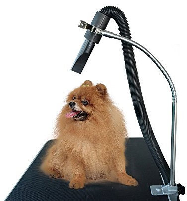 Gravitis Pet Supplies Heavy Duty Dog Hair Dryer Hose Holder – Holder Only - Suitable for use with Pet Grooming Table