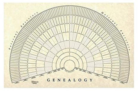Porceosy Graphiques d'arbre généalogique à remplir avec des étiquettes cadeaux personnalisées - Diagramme d'arbre généalogique - Poster vide - Cadeau unique pour toutes les occasions - Toile
