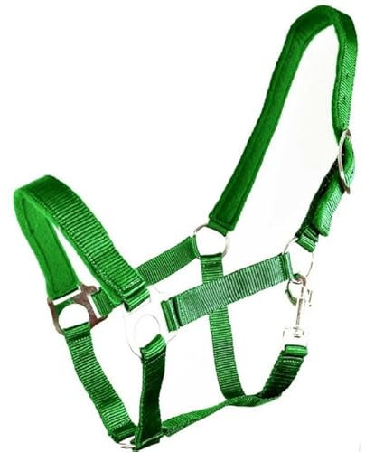 Brama West Halfter Pferd River - Stallhalfter Pferdehalfter - Einfach - Gepolstert (Grün, Cob)