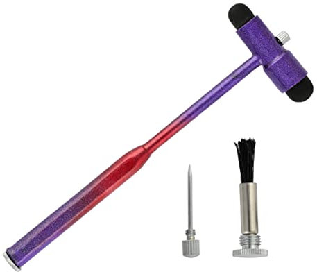 Innotech Marteau à réflexes neurologiques après Buck avec pinceau et aiguille pour réflexes cutanés et réactions de surface (violet/rouge)