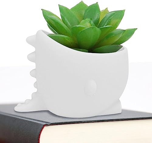 itrimaka Macetas - Cactus con Forma Cola Dinosaurio,Maceta Decorativa para Cactus suculentos, Organizador Almacenamiento pequeño Multifuncional