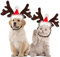 Haustier Stirnband Weihnachten Rentier, Katze Hund Weihnachten Stirnband mit Weihnachtsmütze Rentier Geweih Haarreifen, Verstellbare Stirnband für Haustier Hund Katze