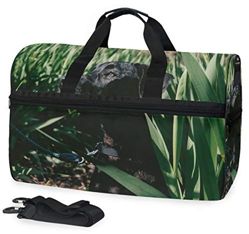 MONTOJ Adorable Animal Dog Photography Oversized Canvas Travel Tote Duffel Shoulder Overnight Weekend Bag