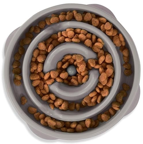 Outward Hound Fun Feeder Slo Bowl - Slow Feeder Dog Bowl - No Bloat - No Choke - Medium - Grey