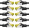 BIGtec LAN Kabel 10 Stück 5m Netzwerkkabel CAT7 Ethernet Internet Patchkabel CAT.7 schwarz Gigabit doppelt geschirmt Netzwerke Router Switch 2 x Stecker RJ45 kompatibel zu CAT.5 CAT.6 CAT.6a CAT.8