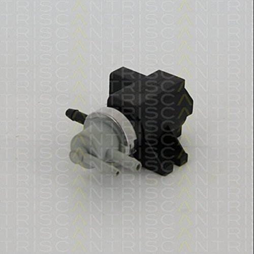 Triscan 8813 29103 EGR Valve
