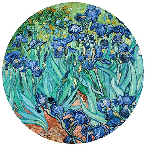 Bilderwelten Runde Tapete selbstklebend - Vincent van Gogh - Iris 244x244cm