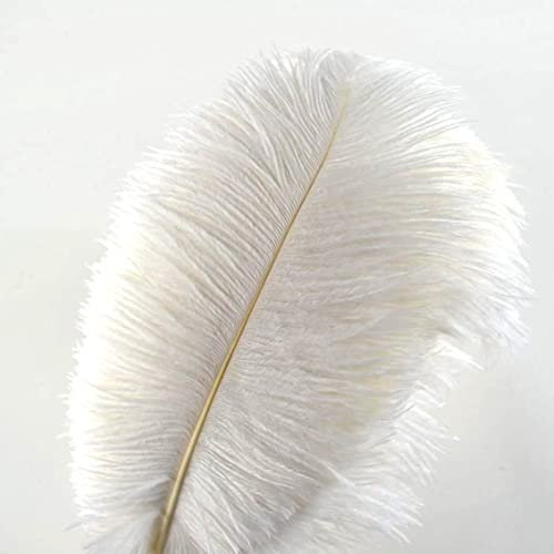 Creny Lot de 10 Plumes d’Autruche de 40 à 45 cm pour décoration d’intérieur ou Mariage, Blanc