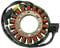 Stator Lichtmaschine passend für Honda CBR929 SC44 2000-2001