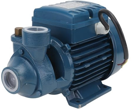 SEWOART 370w Pompe Électrique De Eau Pour Irrigation De Jardin Pompe De Piscine Pour Nettoyage Et Système Arrosage