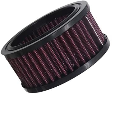 TXCJNIU Accessori Moto Filtro Aria Filtro di Aspirazione Sistema di Alluminio per Harley-Davidson Sportster 883 1200 1991-2016 Ferro 883 2009-2016 (Color : A)