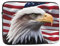 GGNKDL American Bald Eagle Modello Antiurto Portatile Laptop Sleeve Bag 15 pollice per Uomini Donne Viaggi di Affari, Ufficio Uso quotidiano