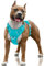 BARKBAY Hundegeschirr, kein Ziehen, reflektierend, mit Frontclip und Griff zur einfachen Kontrolle für Spaziergänge, Training, Laufen, mit ID-Tag-Tasche (Ozeanblau, Größe L)