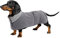 Geyecete-Polarfleece Winter hundemantel fur Dackel,Miniatur Dackel Pullover,Warmes Einstellbar Hundejacke Hundeweste mit Geschirr öffnung-Grau-S