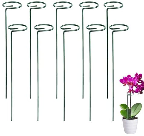10 Stücke Staudenhalter, Strauchstütze, Blumenstütze, Metall Garten Stützring, Pflanzenhalter Ringkäfig, Metall, Mit Wasserdichter Beschichtung, für Pflanzen, Blume, Tomaten