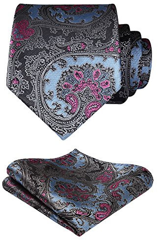 HISDERN Krawatten für Herren Hochzeit Paisley Krawatten Taschentuch Blumen Elegant Klassisch Krawatte & Einstecktuch Set
