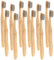 newgen medicals Holzzahnbürste: Antibakterielle Bambus-Handzahnbürste, medium, 12-er Set (biologische Zahnbürste, Bio-Zahnbürste, Zahnpasta)
