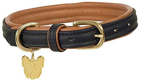 Digby & Fox Padded Leather Dog Collar Black
