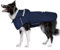 BiPawTi Hunde Regenmantel Mittlere Hunde - Ultraleicht Wasserdicht Hunderegenmantel mit Reflektierenden Kapuze & Verstellbarer Klettverschluss, Regenjacke für Trockene, Sichere Gassigänge (M | Blau)