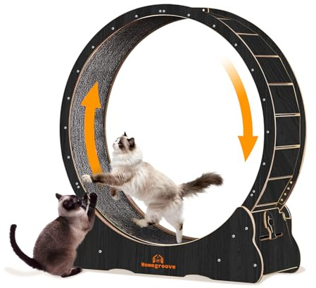 Homegroove XXL Katzenlaufrad, 52/132 cm großes Katzenrad, Massivholz-Laufband für Katzen mit integrierter Sicherheitsverriegelung, wirbelsäulenschonendes Design für große Hauskatzen (Schwarz, XXL)