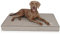 Knuffelwuff orthopädische Hundematte Palomino aus Laser-gestepptem Kunstleder XXL 115 x 80cm Grau - rutschfeste Unterboden - leicht zu reinigen - für große, mittelgroße und kleine Hunde