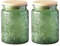 ANSQU Set of 2 Glass Jars with Lids, 700ml Vintage Glass Storage Jars, Cookie Jar Sugar Container for Kitchen Counter, Pantry, Candy Jar with Lid (Green)
