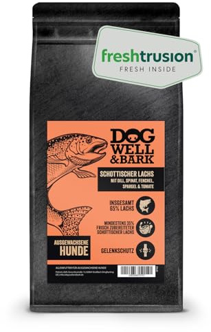 Premium Hundefutter trocken getreidefrei – Alleinfutter mit Schottischem Lachs 2kg für ausgewachsenen Hunde - Lachs mit Dill, Spinat, Fenchel, Spargel & Tomate - reich an Omega-3
