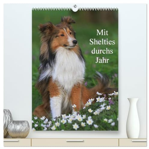 Mit Shelties durchs Jahr (hochwertiger Premium Wandkalender 2026 DIN A2 hoch), Kunstdruck in Hochglanz: Shetland Sheepdogs in der Natur und im Fotostudio (CALVENDO Tiere)