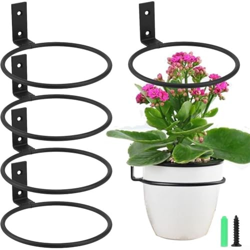 HEBEOT 6 Stück Blumentopfhalter Ringe Wandmontage Blumentopf Halter Ring Faltbarer Blumentopfhalter für Garten Zaun Balkon Heimdekoration (12,7 cm)