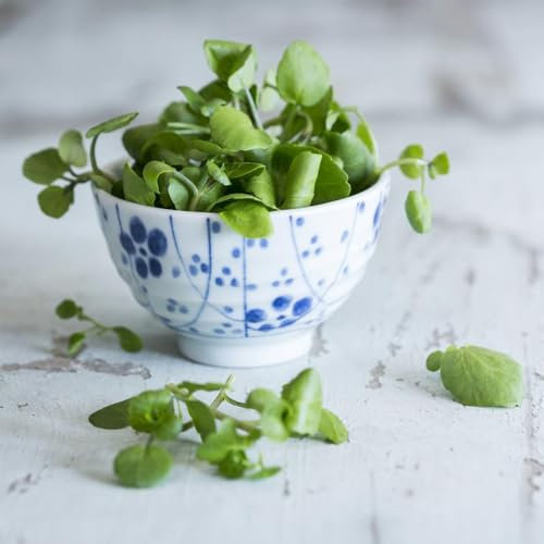 Semillas de berro - semillas de hortalizas plantas de oficina berros plantas en macetas, verduras de balcón verduras de invierno plantas en macetas resistentes jardín interior semillas 1000pcs