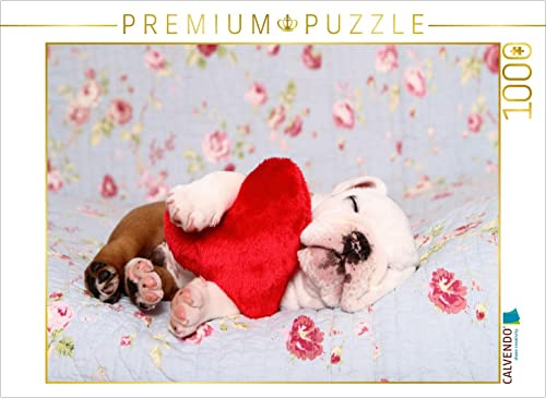 CALVENDO Puzzle Englische Bulldogge Welpe/English Bulldog Puppy | 1000 Teile Lege-Größe 64 x 48 cm Foto-Puzzle für glückliche Stunden