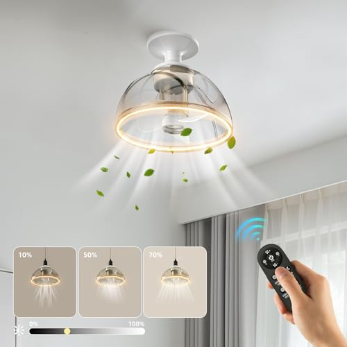 Zuske Deckenleuchte mit Ventilator, 20CM Leise Deckenventilator mit Licht, Klein Deckenventilator mit LED Licht und Fernbedienung, 8W, 860lm, 3000K, Dimmbar, für Wohn-, Schlaf- und Esszimmer