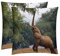 Elefanten-Nasen-Samen-Pods Afrikanische Wild, 2 Stück, dekorativer quadratischer Überwurf-Kissenbezug, Kissenbezug, Heimdekoration, Dekorationen für Sofa, Couch, Bett, Stuhl