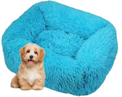 DOTBUY-SHOP Hundebet Rechteck Macaron Farbe Katzenbett, Hundekissen Grosse Hunde Kissen, Plüsch-Hundekorb Hundebett Waschbar, für Welpe, Katzen, Kätzchen, Haustiere (M,Türkisblau)