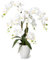 PASCH® XXL Kunstblume Orchidee groß (70cm) in edlem Keramiktopf | Orchideen künstlich | Kunstblumen wie echt