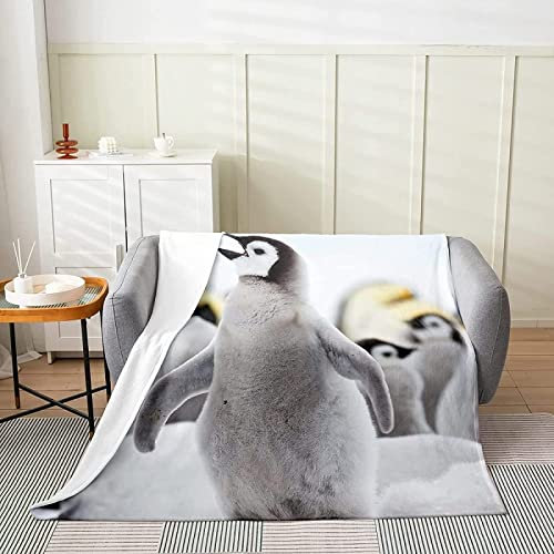 KINITA Grau Kuscheldecke Flauschige 180x200, 3D Pinguin Decke, Mikrofaser Sanft Flanell Weich Decke Fleecedecke Sofaüberwurf Tagesdecke kinderdecke für Bett/Sofa