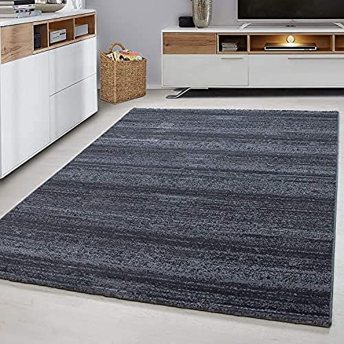 Ayyildiz Teppich-Teppich modern Designer Rechteck Pflegeleicht, Polypropylen, Grau, 80 X 150