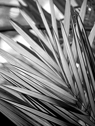 Feeling at home LEINWANDDRUCK im SCHATTENFUGENRAHMEN BW-Anlage mit Metall 2 Allen Kimberly - Fotografie vertikale Kunstbilder im Holzrahmen cm_73_X_54
